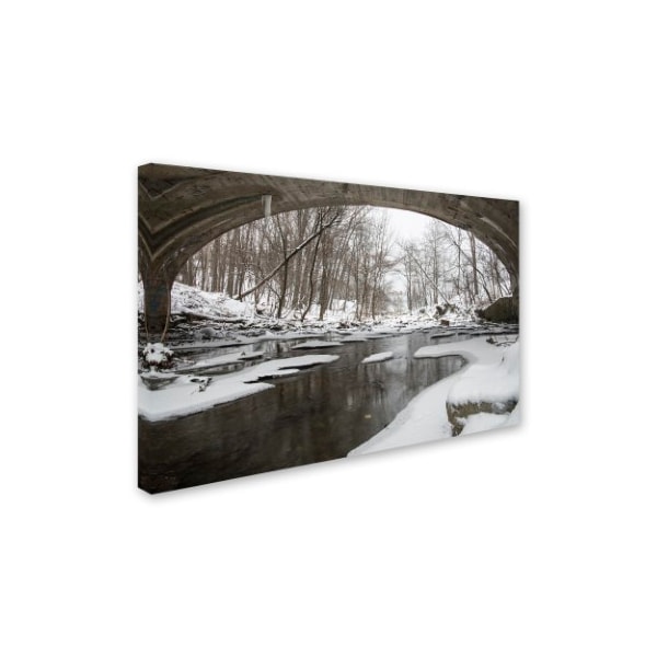 Kurt Shaffer 'Cold Flow' Canvas Art,30x47